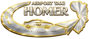 airport taxi logo